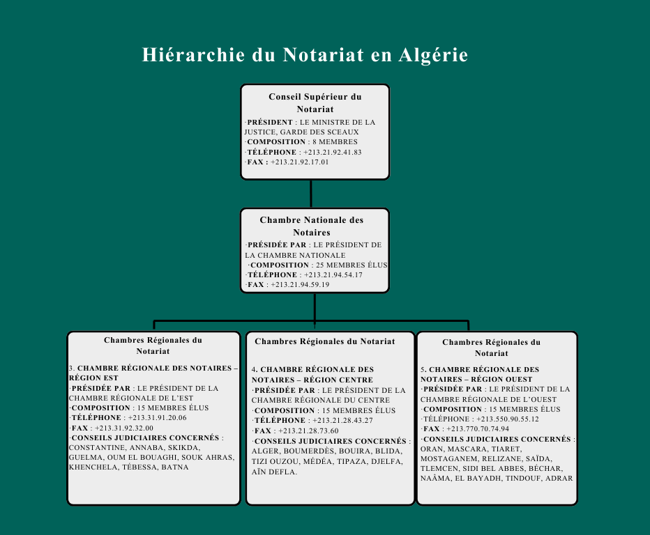 hiérarchie du notariat en algérie présentant le conseil supérieur du notariat, la chambre nationale, et les trois chambres régionales (est, centre, ouest) avec leurs compositions, contacts et wilayas concernée