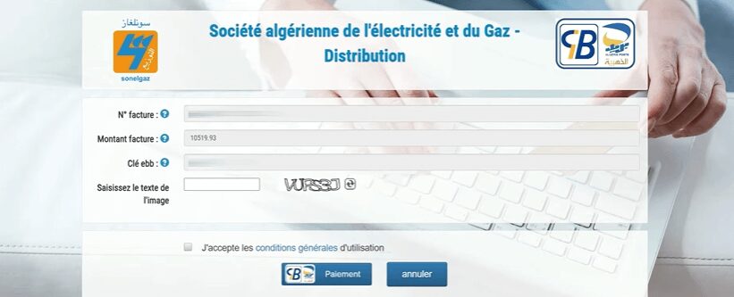 Capture d’écran de confirmation du paiement Sonelgaz avec captcha, case des conditions d’utilisation et bouton “Paiement”.
